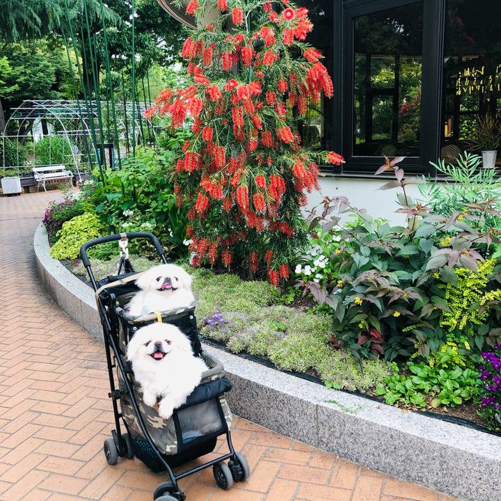 E3e329ad 4603 4929 b430 3ee82df9abee 1621866353923