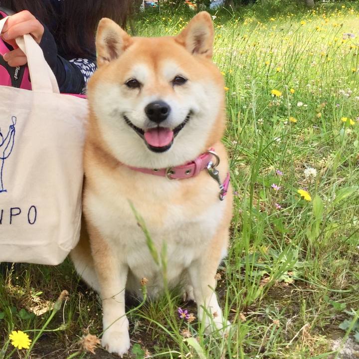 E3e3314f a416 4b9b 84cf ce0b3e470401 1591188947331