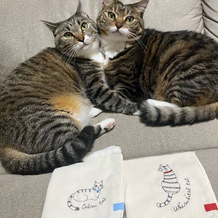 E3e36bba 58ac 48e0 9a34 786c64cafa7d 1757329945582