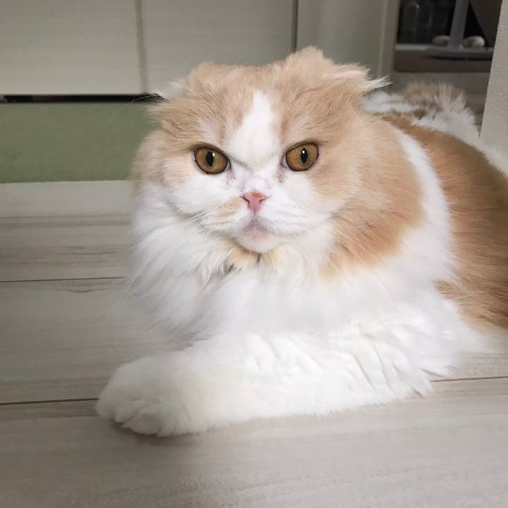 E3e391b2 705e 485d b355 974eb952857c 1592140533381