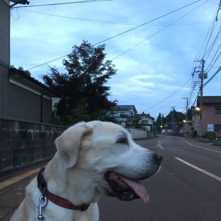 E3e39da4 6d15 4c5c a302 9ee032d7fca5 1550402443447