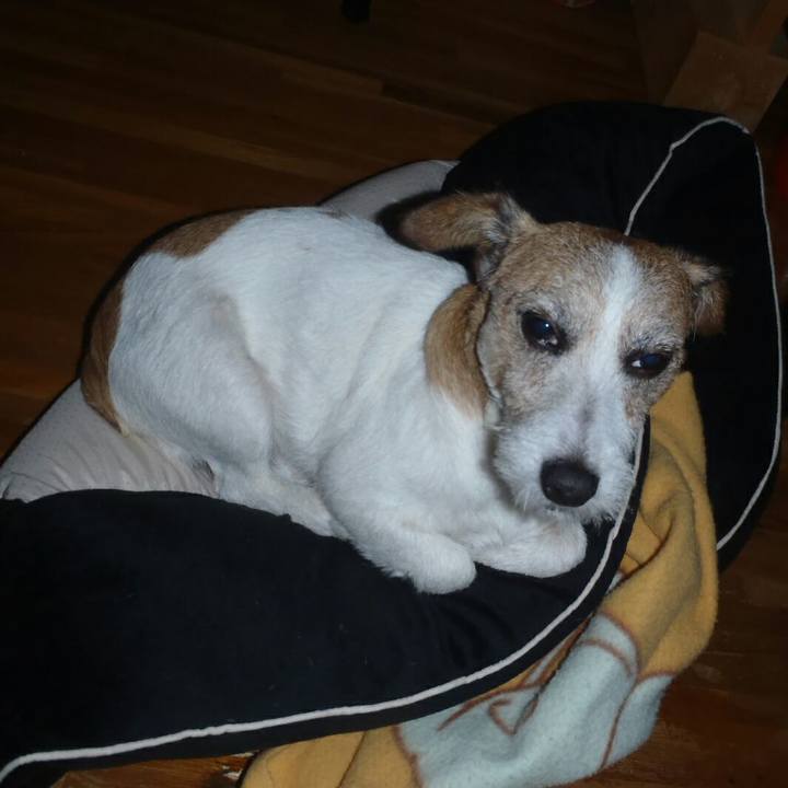 E3e3a5b7 d16a 4142 80b0 0e8ffe12b0c7 1508936590691