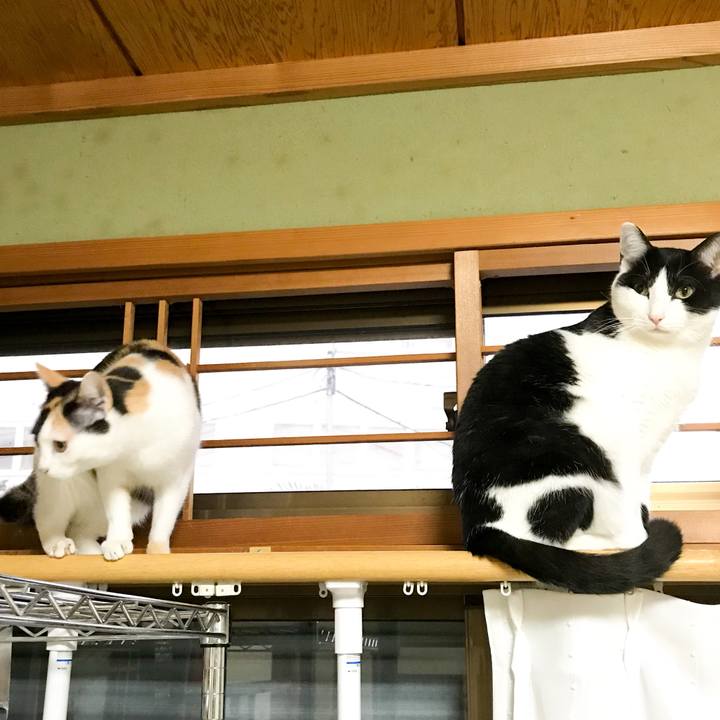 E3e3a7d4 7d98 4402 93cb 15718dd058f1 1512915501056