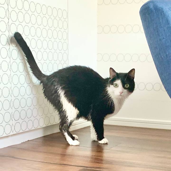 E3e3aa27 f4a2 4569 8043 d96bf7f81e46 1621741814321