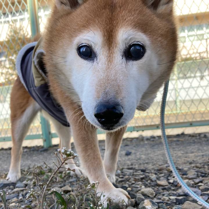 E3e3bf3e ee87 4aaf 8a7a 3da3a0e8fe35 1739434082288