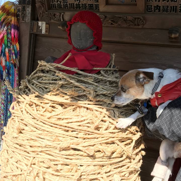 E3e40ad1 ffc1 4706 97bf 621fe33b62a8 1581311822676