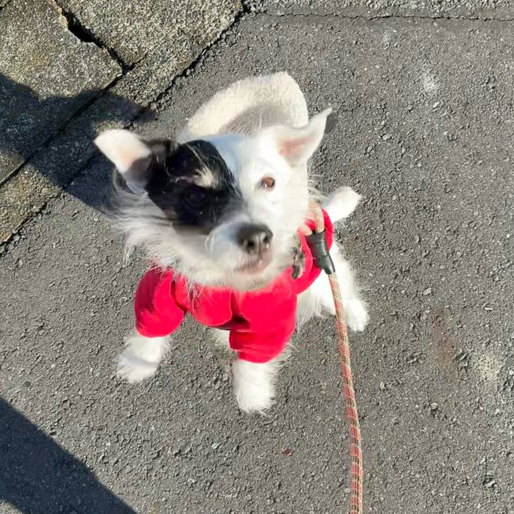 E3e42a01 c43b 41af 8245 5fc735a6214d 1765757595282