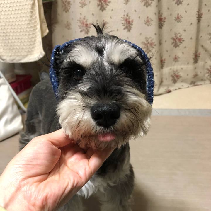 E3e45d05 c7a3 44ba 975f 758ec263395b 1632570860366