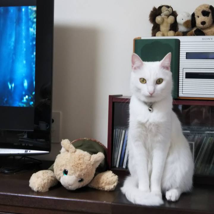 E3e4848b dfe5 4bf3 8172 6b1765d1f453 1624586306279