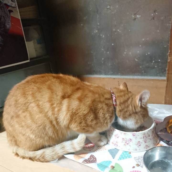 E3e48eb6 092e 4bef 8113 33a3cfd9fc46 1603097803715