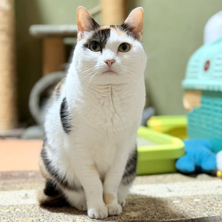 E3e4e091 0abf 4cae 92ea a6c8ee48eee4 1773367134007