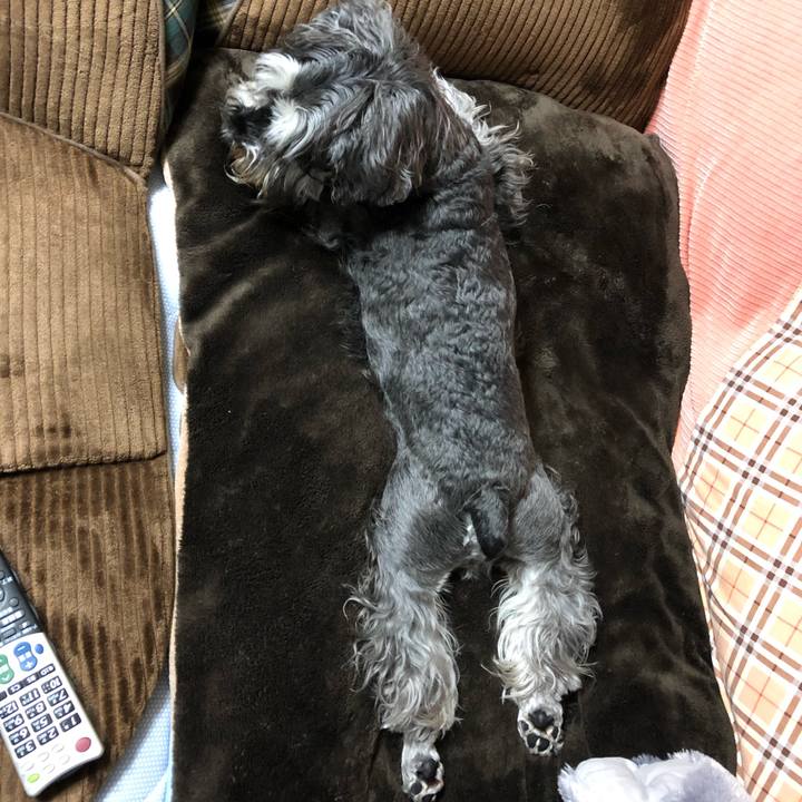 E3e4f2ad de87 46a4 af7b dd7c342b29ec 1622556676433