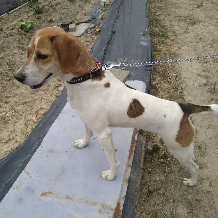 E3e57fcc f022 449b a5c4 ffb3e24ad33d 1623049299218