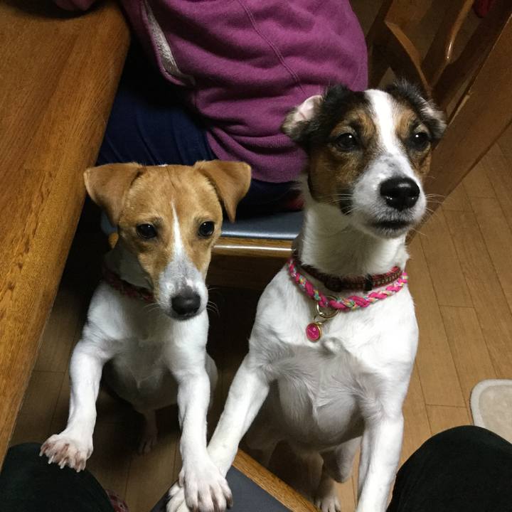 E3e5a03f 5119 4274 80bd 86018375321b 1512041200865