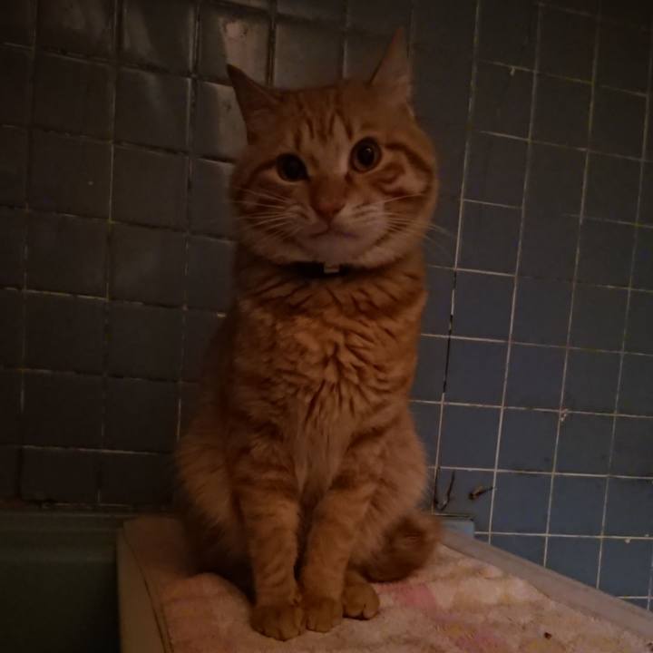 E3e5bb89 8563 48a7 82d6 83fead3f3a15 1646562199383