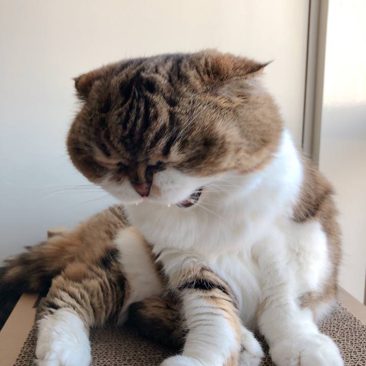 E3e60434 6eff 4570 a8b9 b13ef0c26905 1598342275689