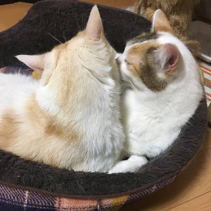 E3e6120e ac33 47a1 ae9f c22a37c94dd2 1523659944665