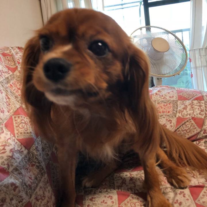 E3e612d6 b51a 4deb 95b9 65dfd993f913 1535061992285