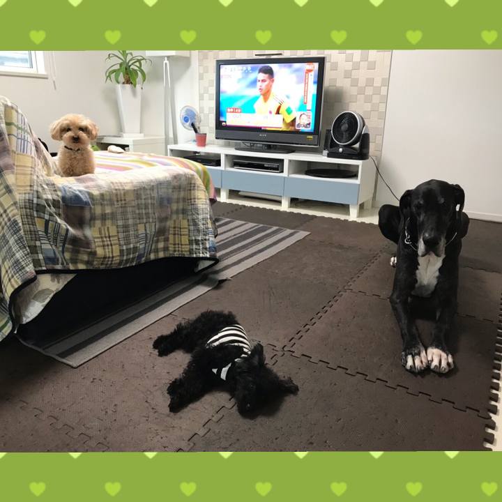 E3e62cb3 1592 41f4 bb4b de3376d0c7ef 1529448727538