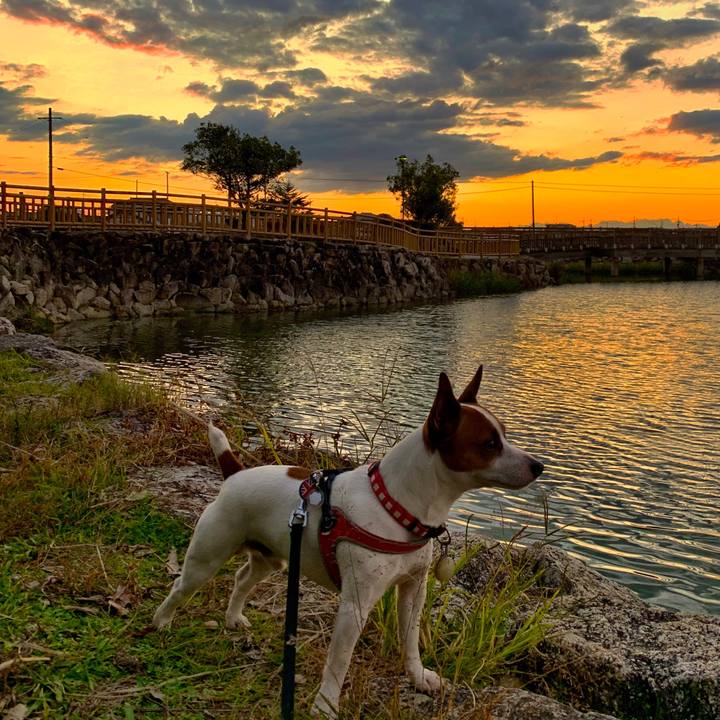 E3e64136 e240 4b34 b906 0f093bdec9e2 1542186285639