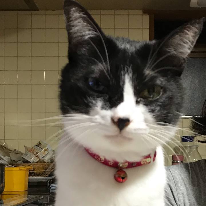 E3e6710f a1c5 4b71 9814 2f007e6e995a 1538911502400