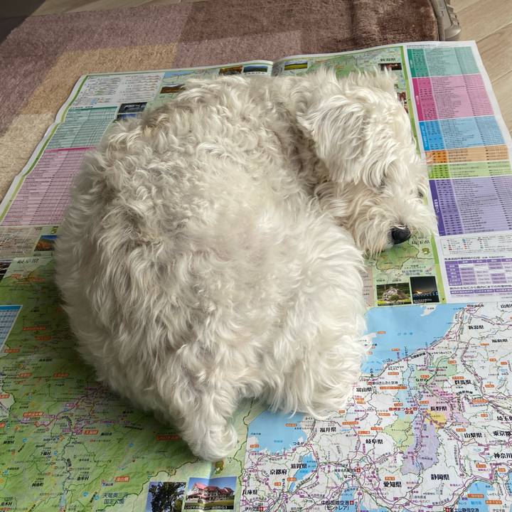 E3e6a579 aeb8 4abf bb8c 7502c02a60b5 1762131039046