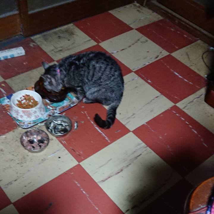 E3e70431 ff22 4288 aafe d5407246dd89 1581369459420