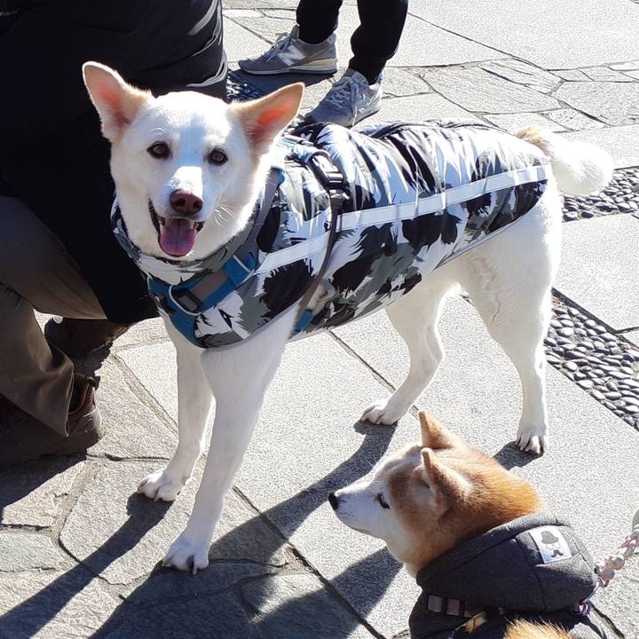 E3e77c49 e81c 4fa0 b6a5 84974d575006 1675560275795