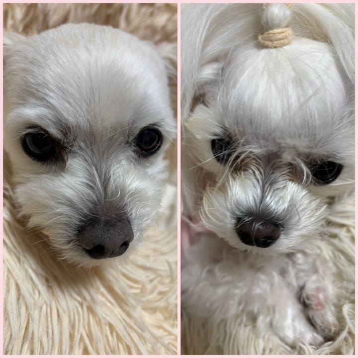 E3e7a764 0d9c 4742 a531 b51f35f19edc 1774951982445