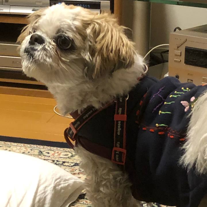 E3e7b75c fea4 4882 8f7f 7132b811c9b3 1612130273332