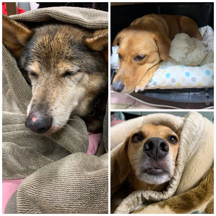 E3e7f046 c4ce 4f0c 910d 75ad35e69af0 1572002112529