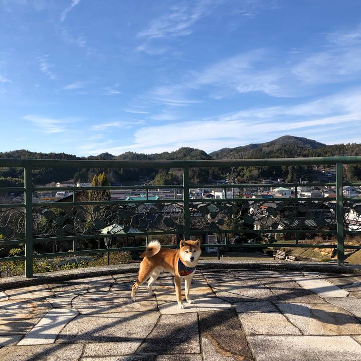 E3e7f08b 39b6 467c bf01 4d87125831f0 1545824770992