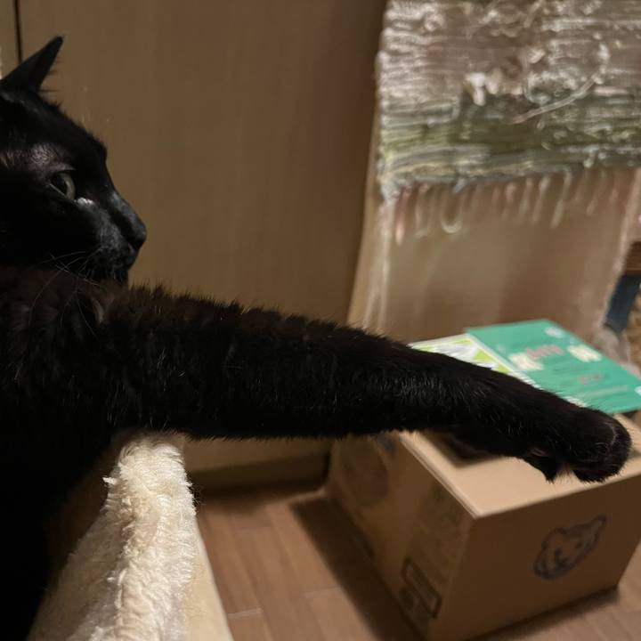 E3e7fdb0 c844 4ca9 aa28 078ada658bc6 1758722484921