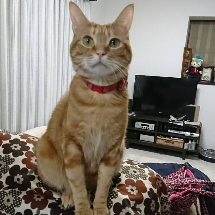 E3e8342f 9f60 4bec b2a0 1782cb493116 1517054185685