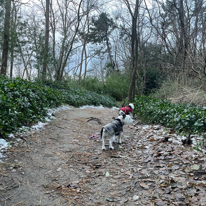 E3e8b392 5c6d 4ac8 a1d1 914042704043 1735946574112