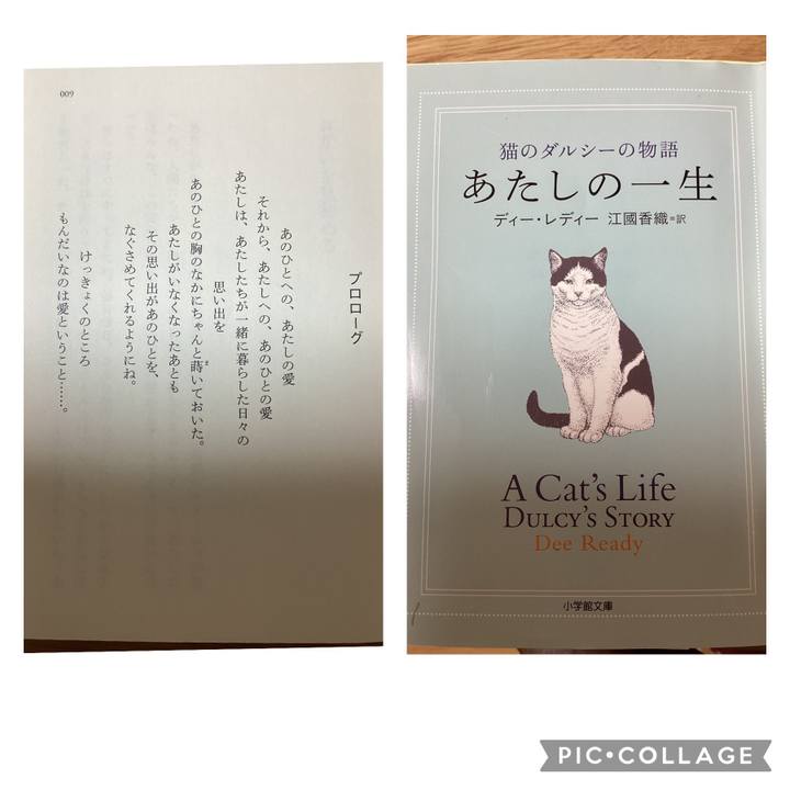 E3e8eb96 e107 4313 8805 6463071d7aae 1651648340384