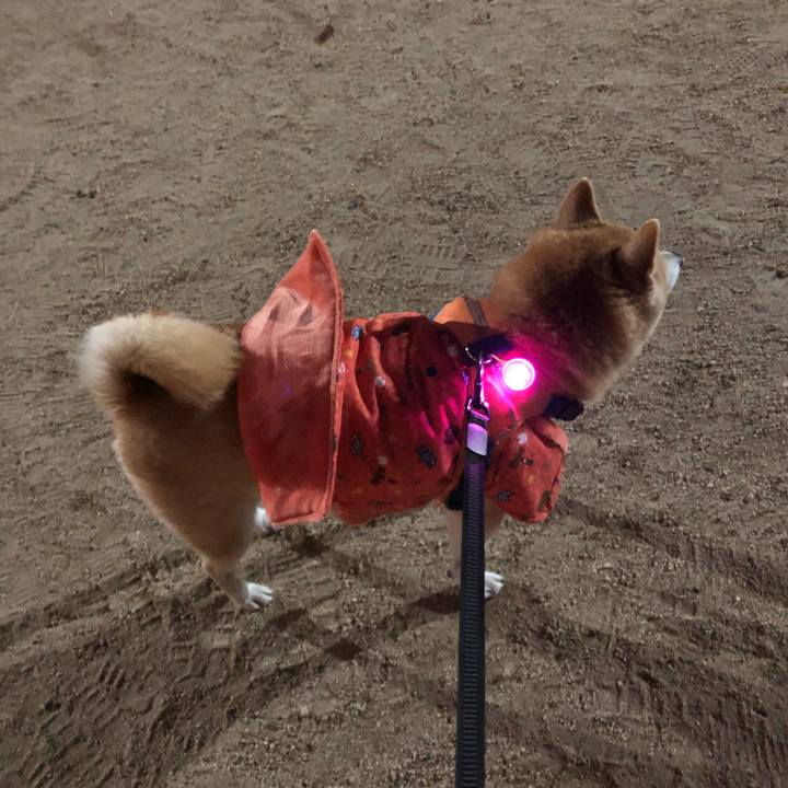 E3e92bfb 0b1e 40c2 b7a7 0d13927268c3 1608902136008