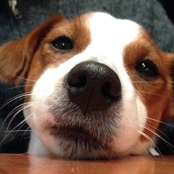 E3e9576e 1724 42e3 9a6b bb252f28fb3f 1523435267593