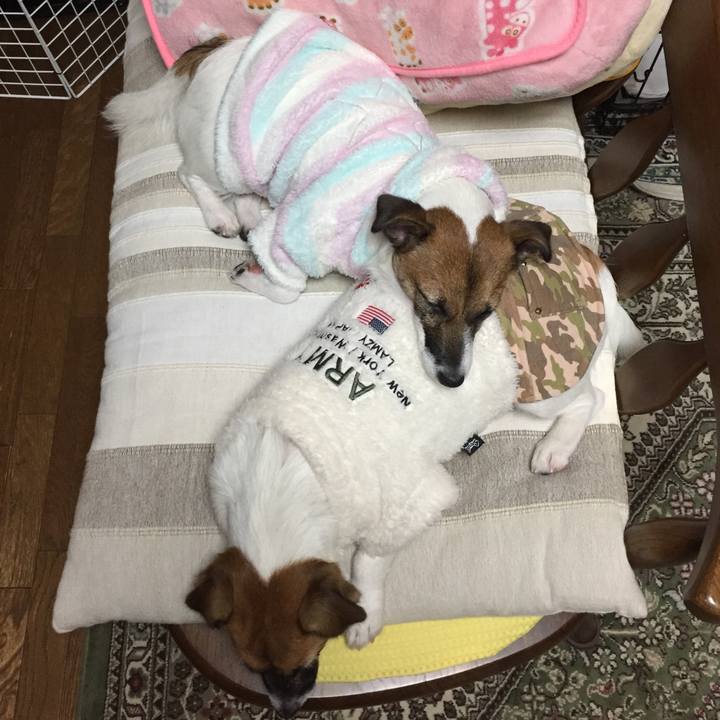 E3e9b1a7 c8ce 422f 94b4 005714e22061 1508417222275