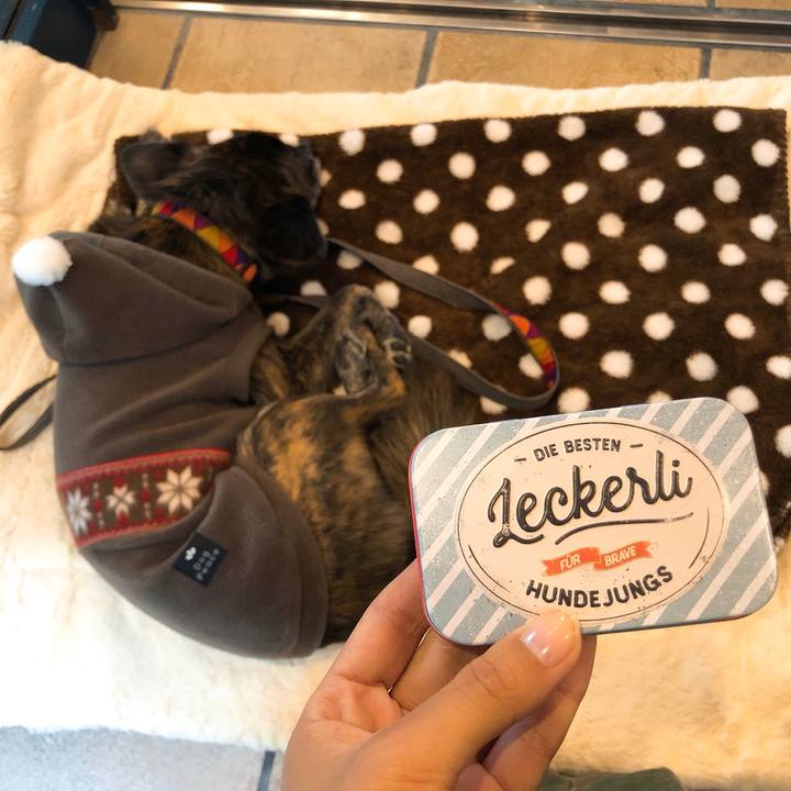 E3e9bf50 f068 43c6 9723 9825fc708540 1575811695783