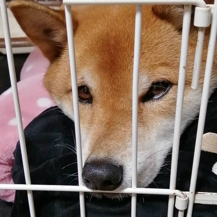 E3e9c035 066b 4f5a 818f 63ac4df122d1 1580300015276