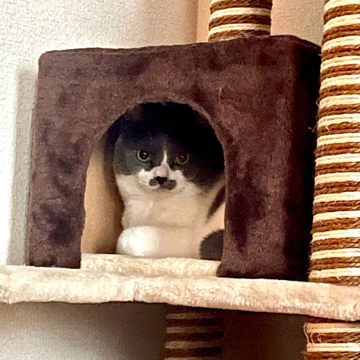 E3e9d9e3 1c91 4215 9c52 1cdbe314433c 1718791612532