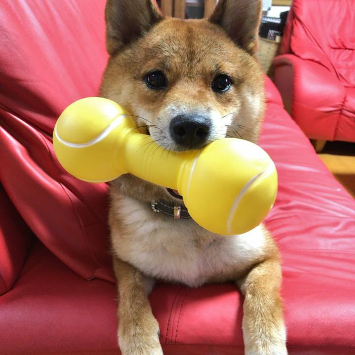 E3ea16ac f4bf 4529 9d05 10f74eedd7f7 1532771994341