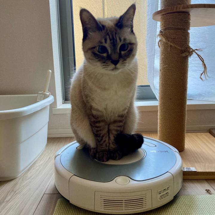 E3ea35c1 eb6b 4009 85db 20f208787f6f 1732775860493