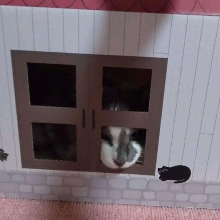 E3ea64f9 9dce 4e24 aade 51e38f1be16c 1661341858965