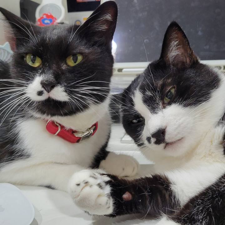 E3ea8242 63cb 4449 b444 1e6a152b01b7 1754305838886