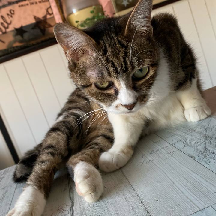 E3eadfa9 546f 4a0a bfb9 f5193bb41714 1656493173276