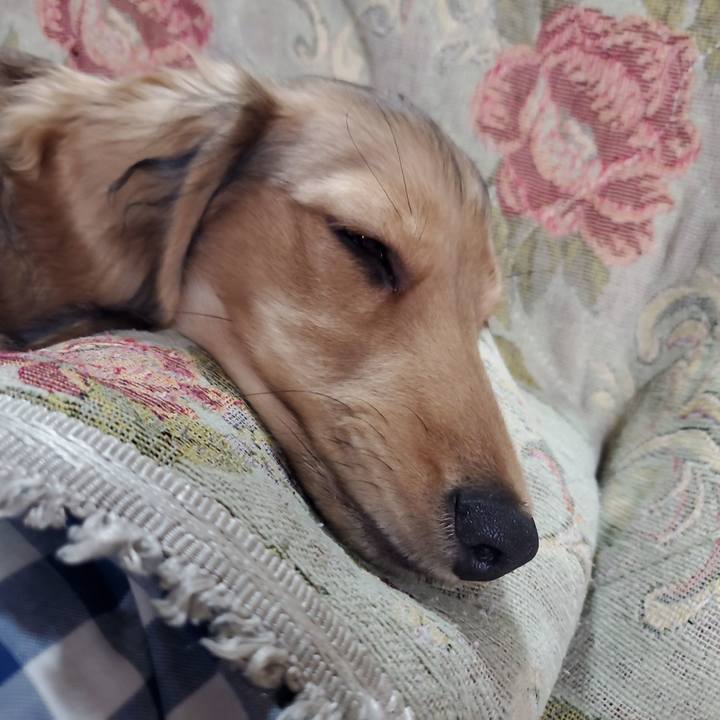 E3eaedb0 0b85 4edc aada 365f568d3936 1765600986329