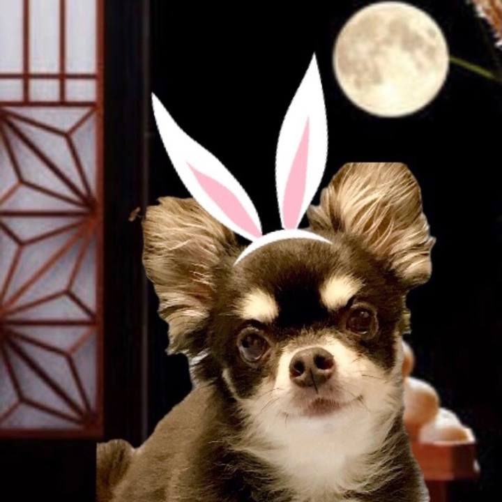 E3eb213f e0a4 4011 906c c59e6195b11e 1632223515713