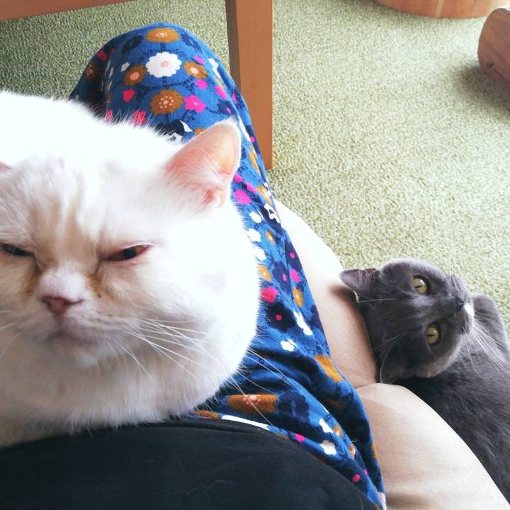 E3eb3edd d81c 4b1a 8b53 18895eae0644 1709337879963